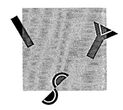 IYS