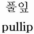 pullip