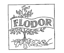 FLODOR