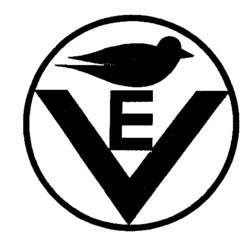 EV