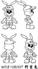 wild rabbit