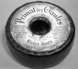 Primat des Gaules Riches Monts