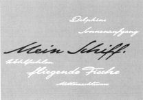 Mein Schiff