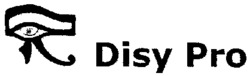 Disy Pro