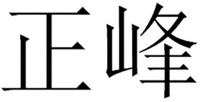 ZHENG FENG