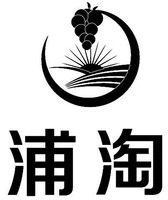PU TAO