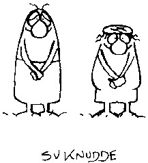 SV KNUDDE