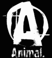 A Animal.