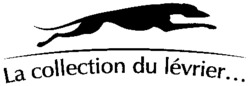 La collection du lévrier