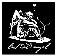 last wild angel