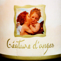 Créature d'anges