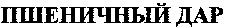 The words whose transliteration is 