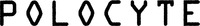 POLOCYTE