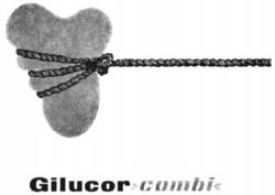 Gilucor combi