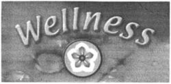 Wellness
