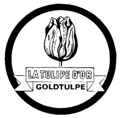 LA TULIPE D'OR