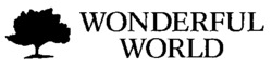 WONDERFUL WORLD