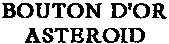 BOUTON D'OR ASTEROID