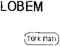 LOBEM