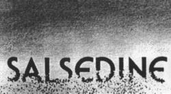 SALSEDINE