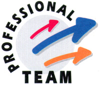 PROFESSIONAL TEAM
