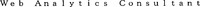 Web Analytics Consultant
