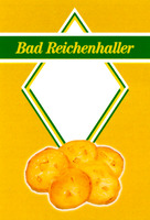 Bad Reichenhaller