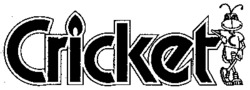 Cricket