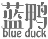 blue duck