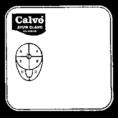 Calvo