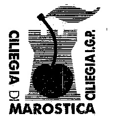 CILIEGIA DI MAROSTICA CILIEGIA I.G.P.