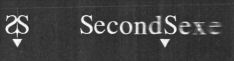 SS SecondSexe