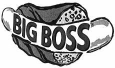 BIG BOSS
