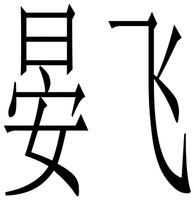  YAN FEI 