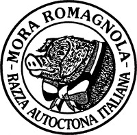 MORA ROMAGNOLA - RAZZA AUTOCTONA ITALIANA