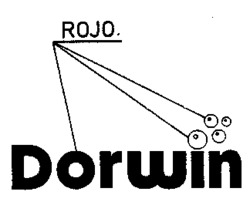 Dorwin