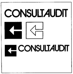CONSULTAUDIT