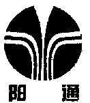 YANG TONG.