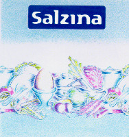 Salzina