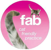 fab cat friendly practice