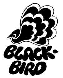 BLACK-BIRD