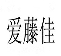 AI TENG JIA.