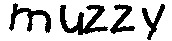 muzzy