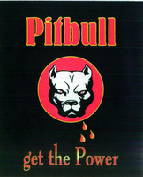 Pitbull get the Power