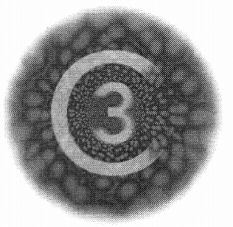 C3