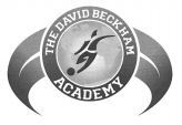 THE DAVID BECKHAM ACADEMY