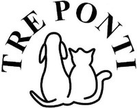 TRE PONTI