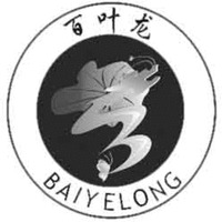 BAIYELONG
