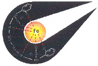 Fe