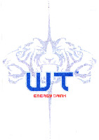 WT ENERGY DRINK